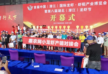 2017監利、潛江小(xiǎo)龍蝦網上(shàng)采購(gòu)節