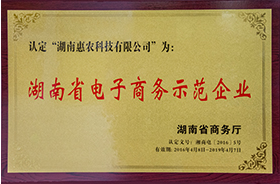電(diàn)子(zǐ)商務示範企業(yè)牌匾.png