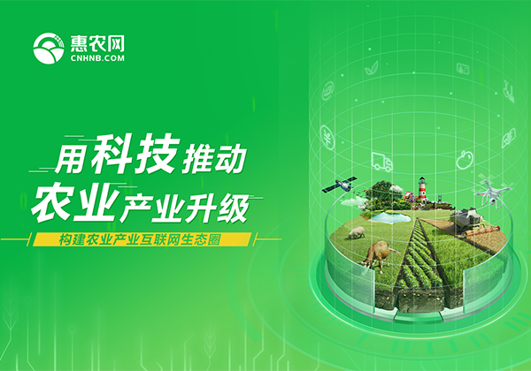 國(guó)際商報(bào)專訪 | 對(duì)接農(nóng)業(yè)各環節助力精準扶貧 農(nóng)村(cūn)電(diàn)子(zǐ)商務綻放(fàng)光(guāng)芒