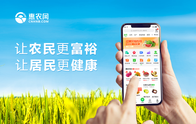 紅(hóng)網 | 惠農(nóng)網：電(diàn)商培訓讓農(nóng)村(cūn)人(rén)才在家(jiā)門(mén)口做(zuò)天下(xià)生(shēng)意