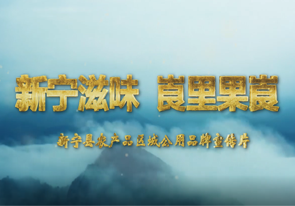 新甯縣區(qū)域公用(yòng)品牌宣傳片