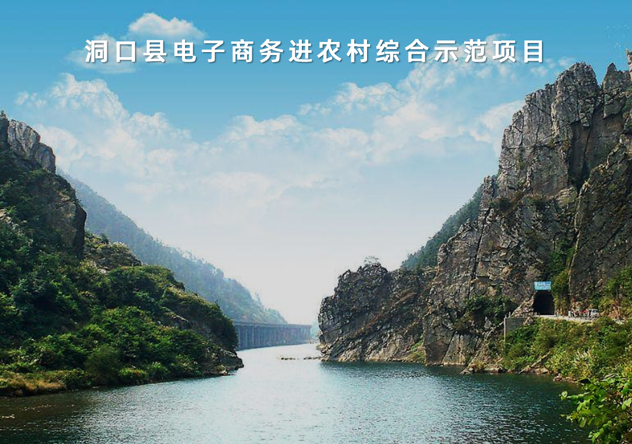 湖(hú)南(nán)省洞口縣電(diàn)子(zǐ)商務進農(nóng)村(cūn)綜合示範項目