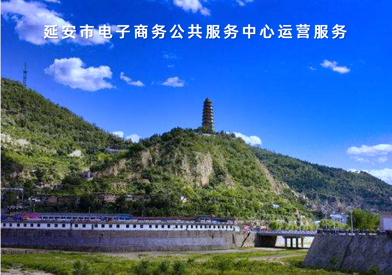 陝西(xī)省延安市(shì)電(diàn)子(zǐ)商務公共服務中心運營服務