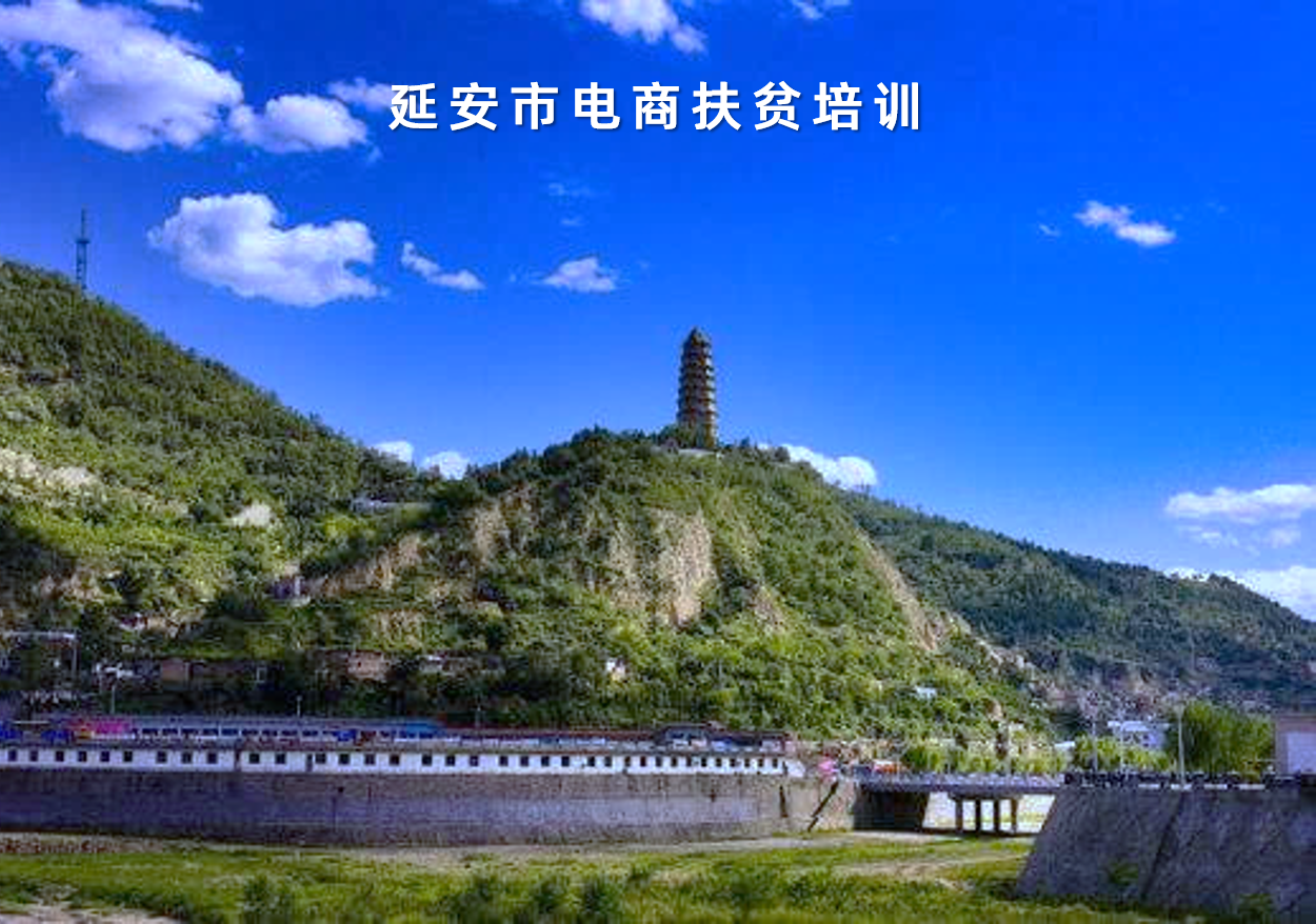 陝西(xī)省延安市(shì)電(diàn)商扶貧培訓