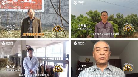 科(kē)學備耕促增收 千名農(nóng)技(jì)專家(jiā)助力惠農(nóng)網春耕月(yuè)