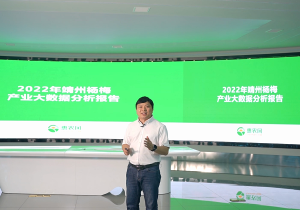 惠農(nóng)大(dà)數(shù)據：靖州楊梅走“紅(hóng)”消費(fèi)市(shì)場(chǎng) 後市(shì)行(xíng)情看(kàn)漲