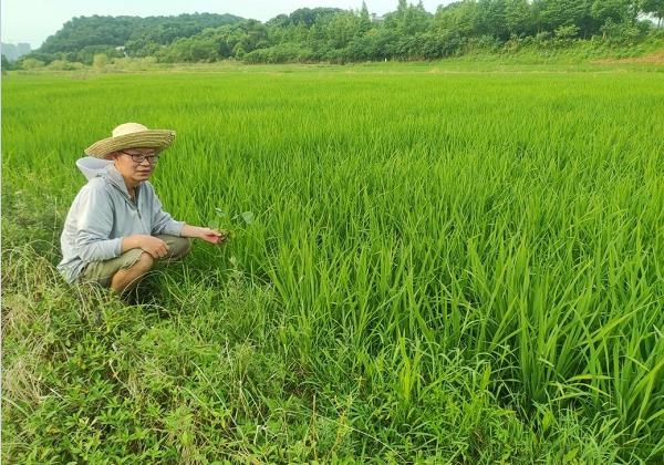 年(nián)入200餘萬元！看(kàn)80後IT高(gāo)管如(rú)何靠惠農(nóng)網跨界生(shēng)财