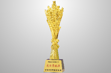 榮獲商務部中國(guó)電(diàn)商扶貧聯盟“2019年(nián)突出貢獻獎”.jpg