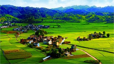 關于印發《“我的(de)家(jiā)鄉(xiāng)我建設”活動實施方案》的(de)通(tōng)知(zhī)
