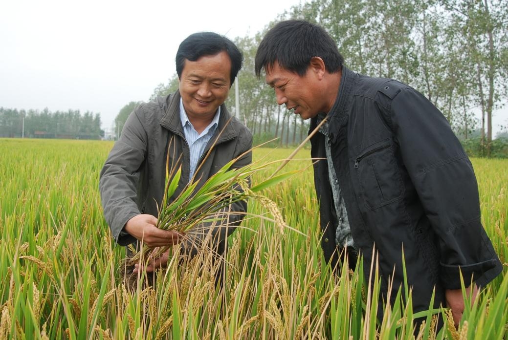 惠農(nóng)網農(nóng)技(jì)專家(jiā)姚友(yǒu)華：雲端送技(jì)術(shù)，做(zuò)農(nóng)民(mín)朋(péng)友(yǒu)的(de)貼心人(rén)