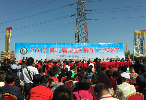 中國(guó)（滕州）首屆網上(shàng)馬鈴薯節啓幕 惠農(nóng)網助推“互聯網+馬鈴薯”産業(yè)升級