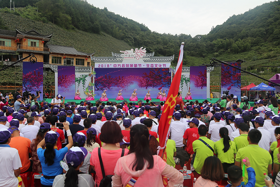 發展縣域特色農(nóng)業(yè)産業(yè) 中方縣“葡萄文(wén)化(huà)”引關注