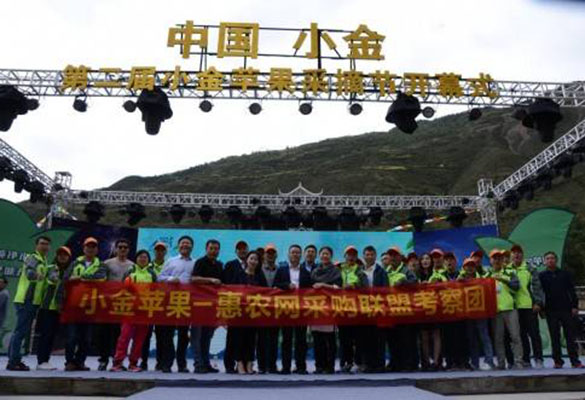惠農(nóng)網助力四川小(xiǎo)金(jīn)蘋果上(shàng)行(xíng) 政企合力推動産業(yè)升級