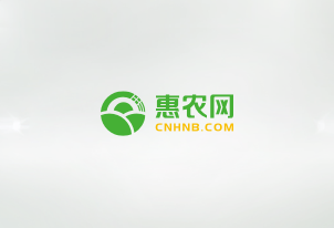紅(hóng)網 | 電(diàn)商培訓 賦能(néng)“數(shù)字鄉(xiāng)村(cūn)”